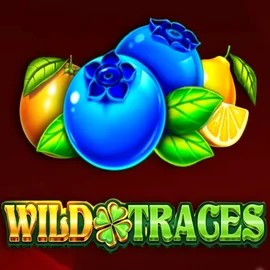 Enjoy Wild Traces by Amusnet Interactive – logo hosted on quickbetcasino.uk